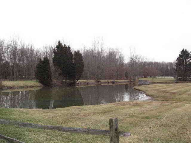 Starlite Drive-In Theatre - 2006 Photo (newer photo)